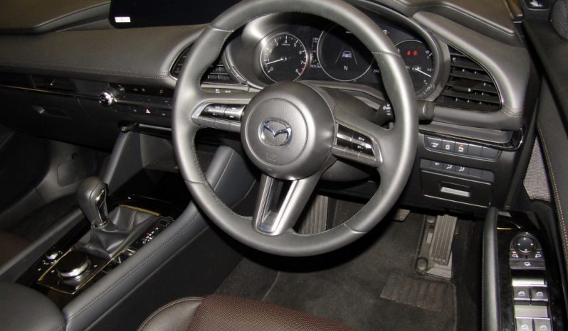 Mazda Mazda3 1.5 INDIVIDUAL 6AT 5-DR 2019 full