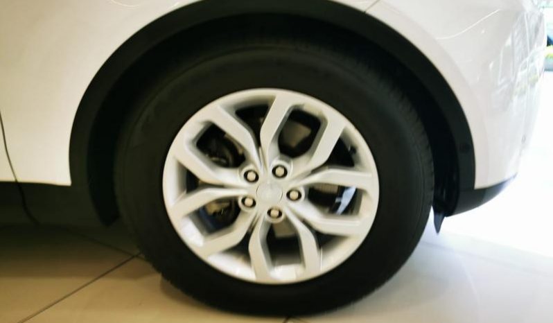 Land Rover Discovery SE Td6 2019 full