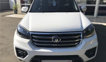GWM Steed 5 5 2.0 WGT 4×2 Workhorse F/L 2019 full