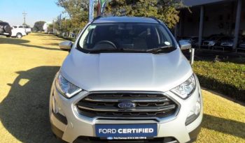 Ford EcoSport 1.0 Ecoboost Trend 6MT 2020 full